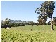 Kangaloon NSW 2576