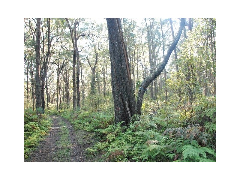 Robertson NSW 2577