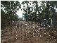 Lot 1, 4and6 Joadja Road, Joadja NSW 2575