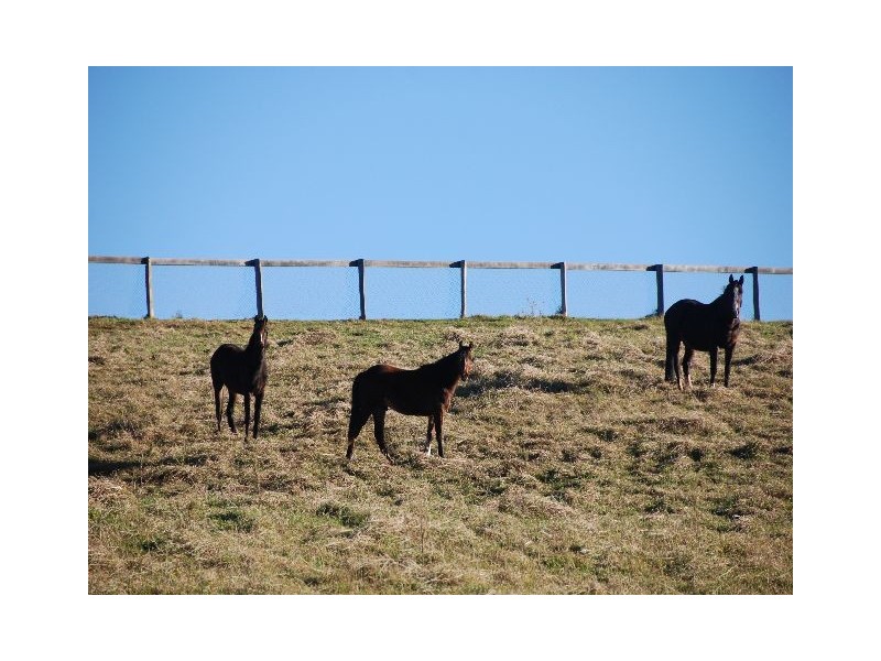 East Kangaloon NSW 2576