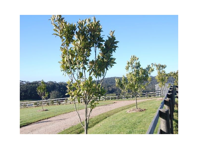 East Kangaloon NSW 2576