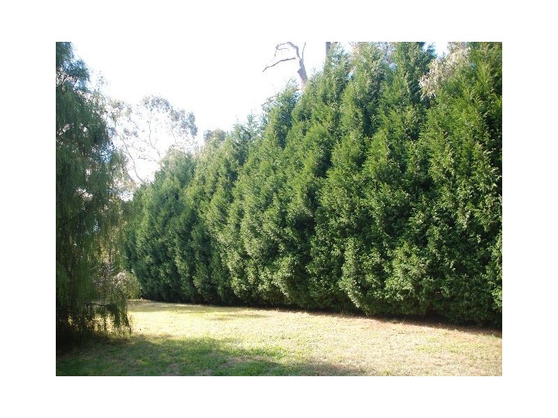 St Cloud Sullivan Road, Burradoo NSW 2576