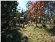 00 Wombeyan Caves Road, High Range NSW 2575