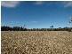 00 Wombeyan Caves Road, High Range NSW 2575