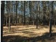 ‘Winlaton’ Lot 5 Newbury Drive, Penrose NSW 2579