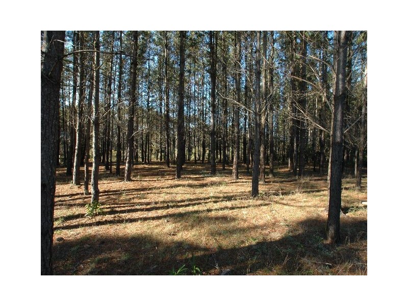 ‘Winlaton’ Lot 5 Newbury Drive, Penrose NSW 2579
