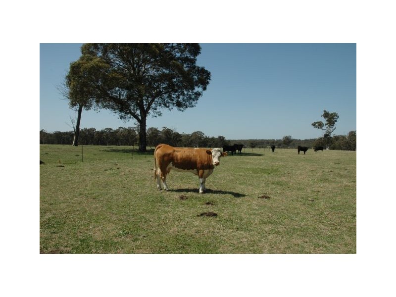 KallaWarra Wombeyan Caves Road, Berrima NSW 2577