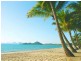 Palm Cove QLD 4879