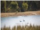 Kangaloon NSW 2576