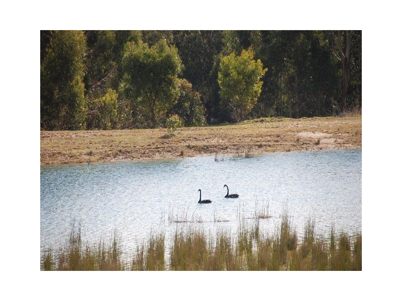 Kangaloon NSW 2576