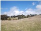 Kangaloon NSW 2576