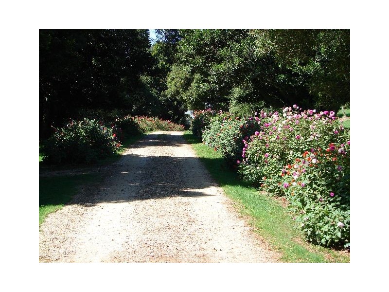 Kingangop Lemmons Road, Robertson NSW 2577