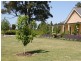 Alpine NSW 2575