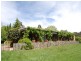 Burrawang NSW 2577