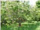 Burrawang NSW 2577