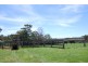 Cloudlands Sheepwash Road, Avoca NSW 2577