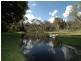 Lot 379 Old Mandemar Road, Berrima NSW 2577