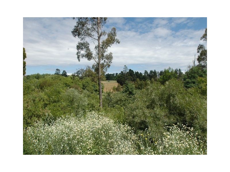 Lot 1 ‘Euroka’, Golden Vale Road, Sutton Forest NSW 2577