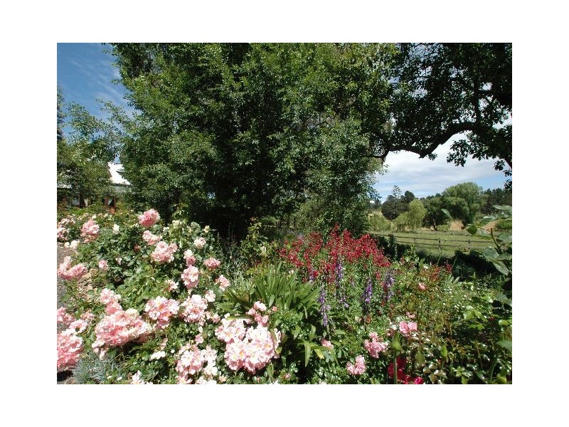 Lot 1 ‘Euroka’, Golden Vale Road, Sutton Forest NSW 2577