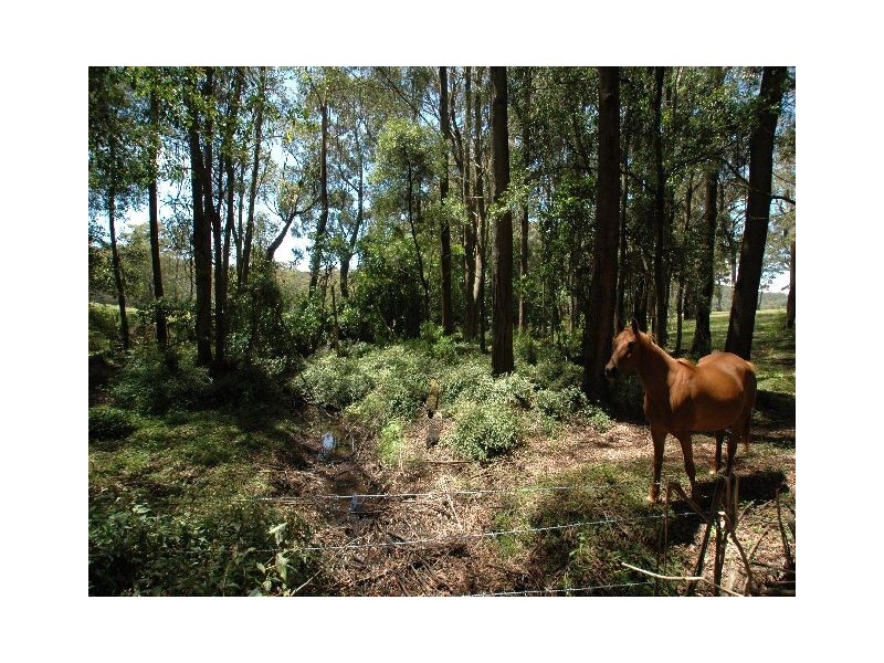 133 Pheasant Ground Road, Robertson NSW 2577