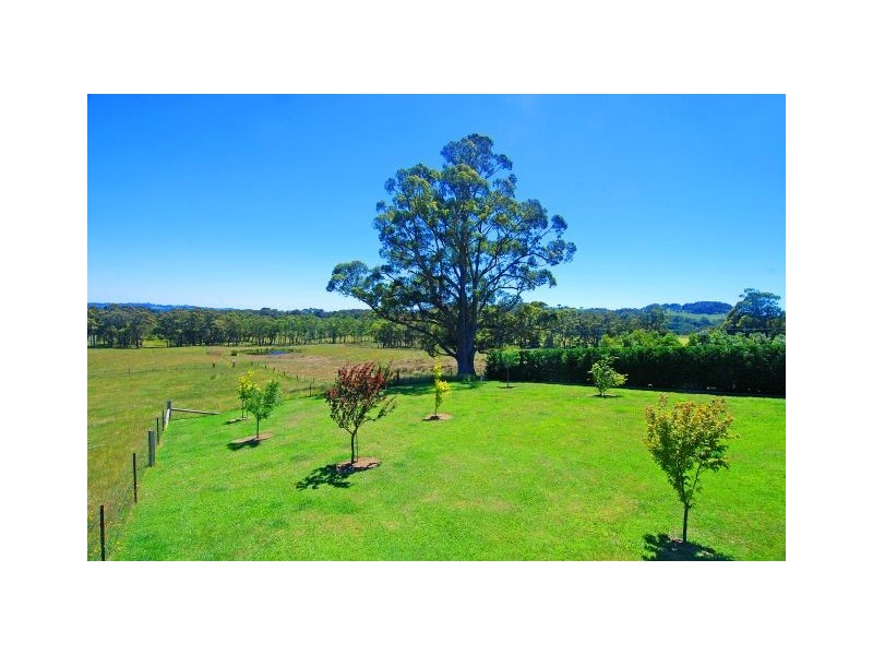 Avoca NSW 2577