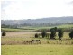 Sutton Forest NSW 2577