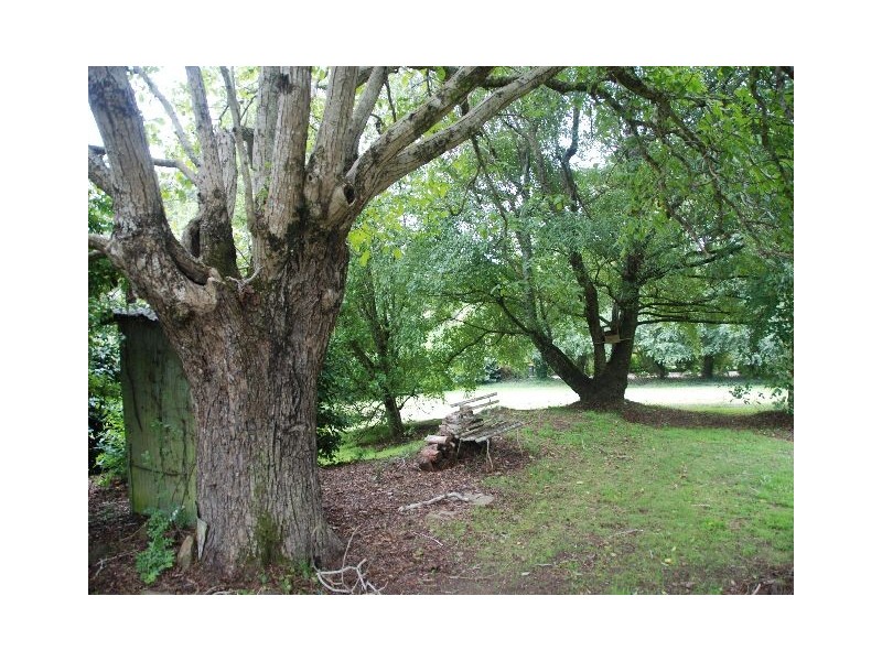 64-66 Hoddle Street, Burrawang NSW 2577