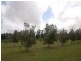 ‘Boolaroo’ Illawarra Highway, Sutton Forest NSW 2577
