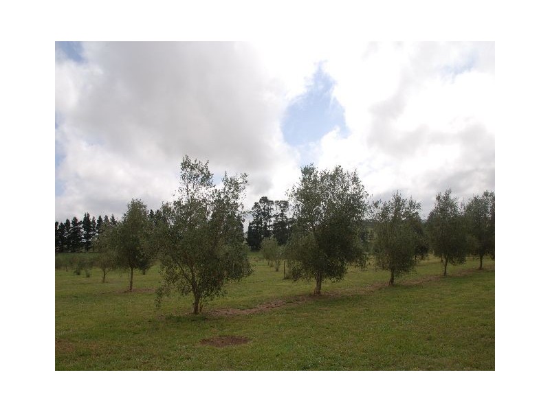 ‘Boolaroo’ Illawarra Highway, Sutton Forest NSW 2577