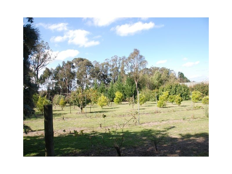 2424 Canyonleigh Road, Canyonleigh NSW 2577