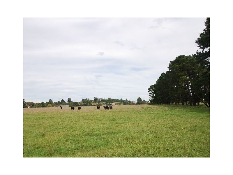 660 ‘Vine Lodge West’, Ellsmore Road, Exeter NSW 2579