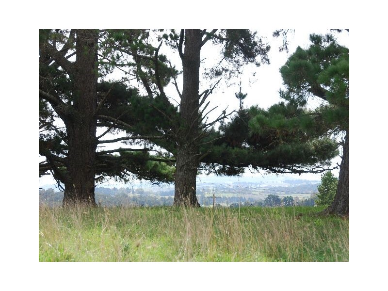 660 ‘Vine Lodge West’, Ellsmore Road, Exeter NSW 2579