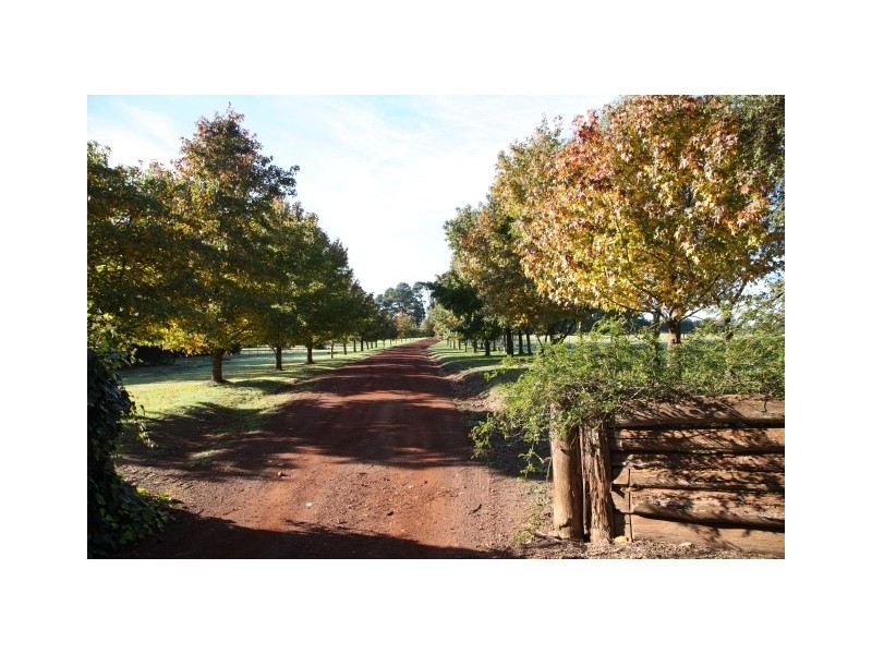 Virginia Park Old Argyle Road, Exeter NSW 2579