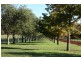 Virginia Park Old Argyle Road, Exeter NSW 2579
