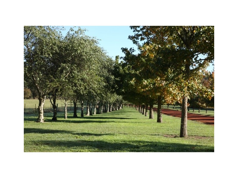 Virginia Park Old Argyle Road, Exeter NSW 2579