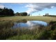 Virginia Park Old Argyle Road, Exeter NSW 2579