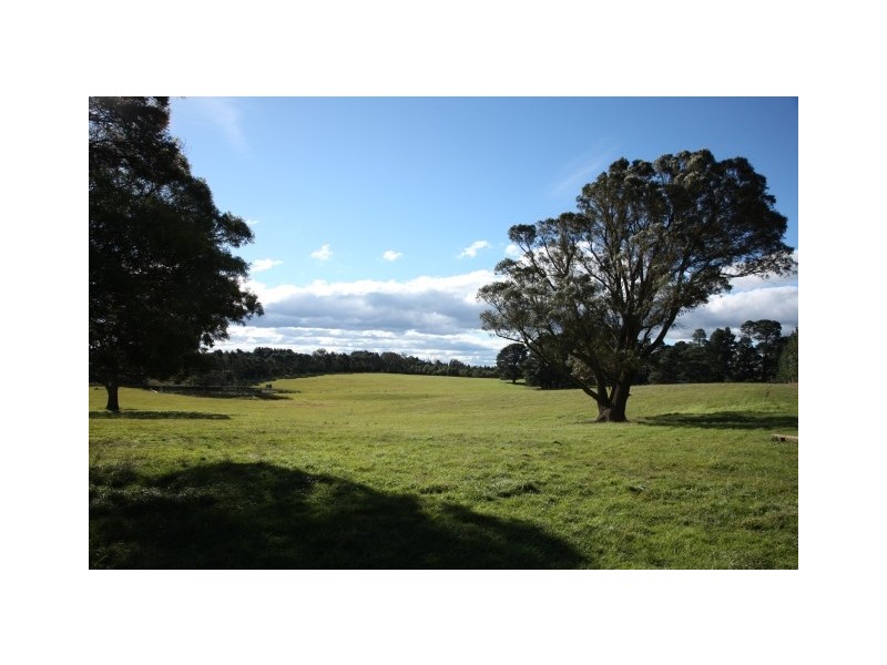 Virginia Park Old Argyle Road, Exeter NSW 2579