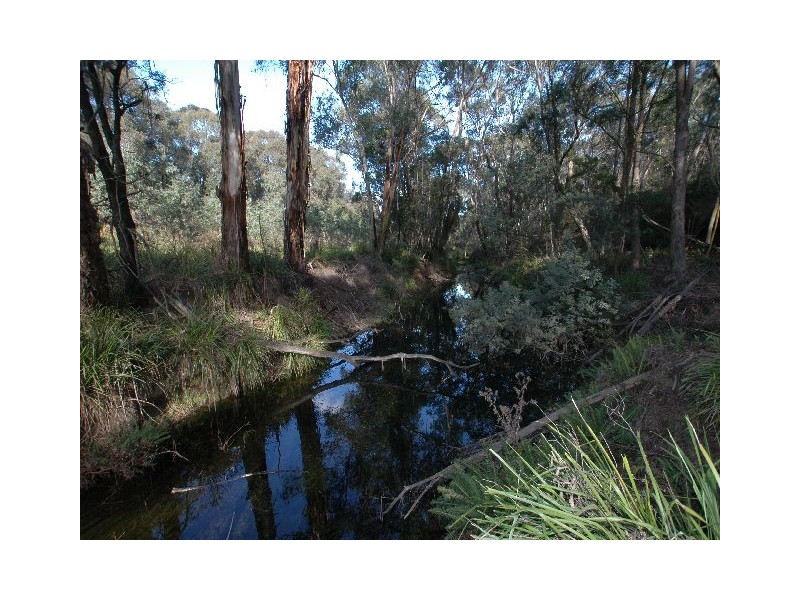 24 Casuarina Crescent, Tallong NSW 2579