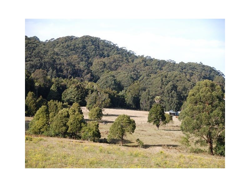 150 Pheasant Ground Rd, Robertson NSW 2577