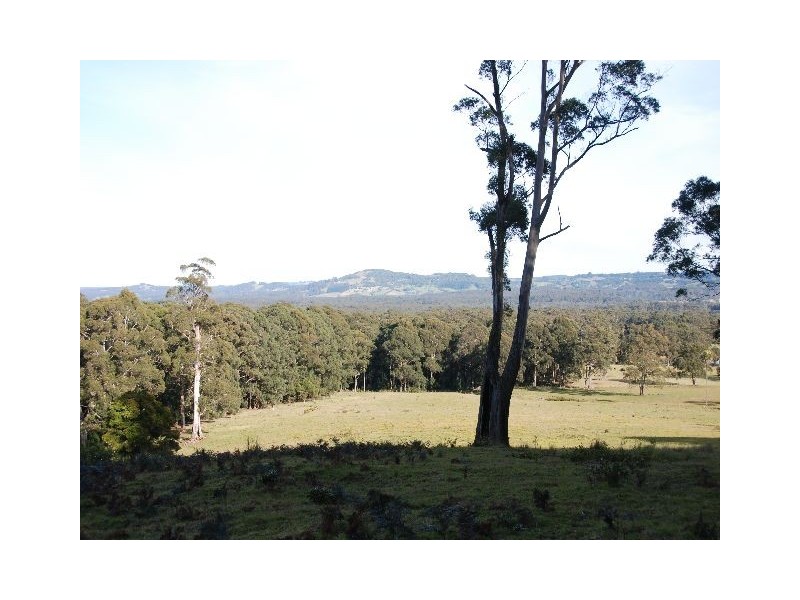 150 Pheasant Ground Rd, Robertson NSW 2577