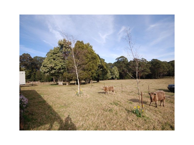 150 Pheasant Ground Rd, Robertson NSW 2577