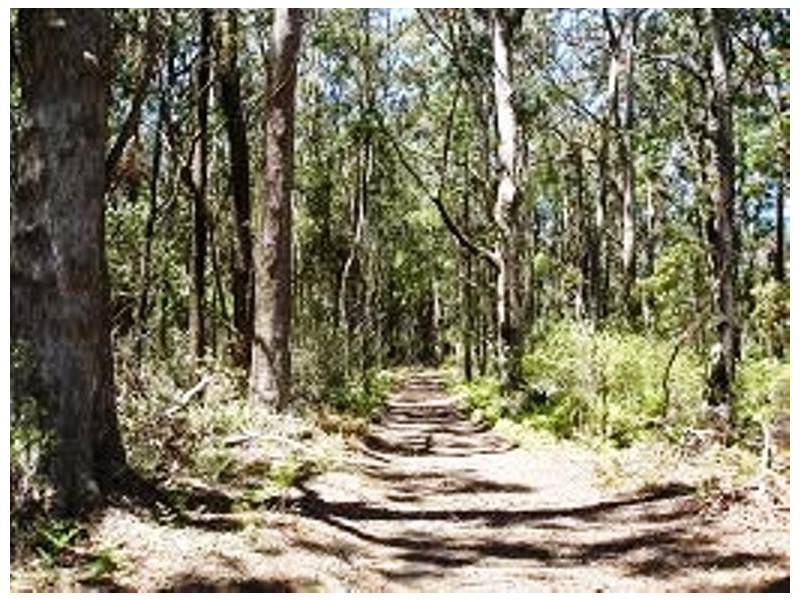 150 Pheasant Ground Rd, Robertson NSW 2577