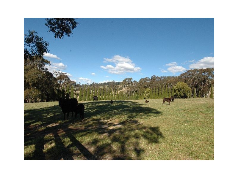 Tanglewood Kia Ora Lane, Kangaloon NSW 2576