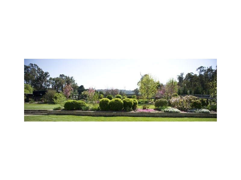 Daffodil Downs Kangaloon Road, Bowral NSW 2576