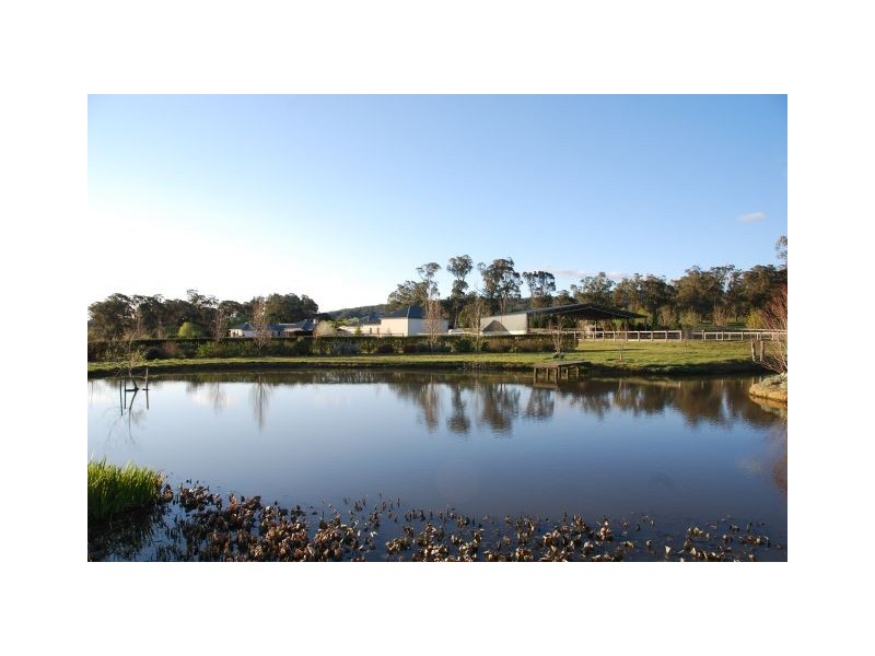 Daffodil Downs Kangaloon Road, Bowral NSW 2576