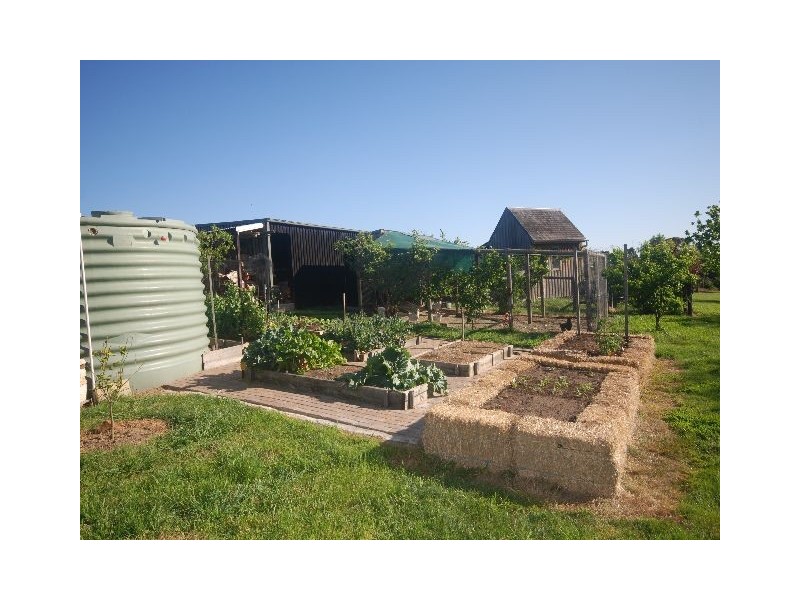 Daffodil Downs Kangaloon Road, Bowral NSW 2576