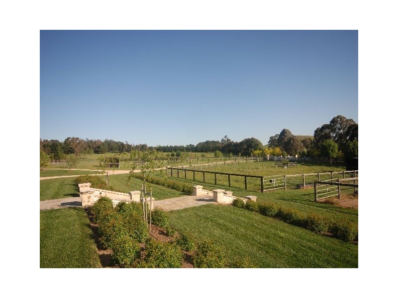 Daffodil Downs Kangaloon Road, Bowral NSW 2576