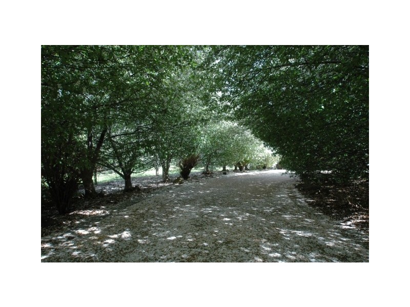 6 – 8 Ellen Street, Bowral NSW 2576