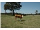00 Wombeyan Caves Road, High Range NSW 2575