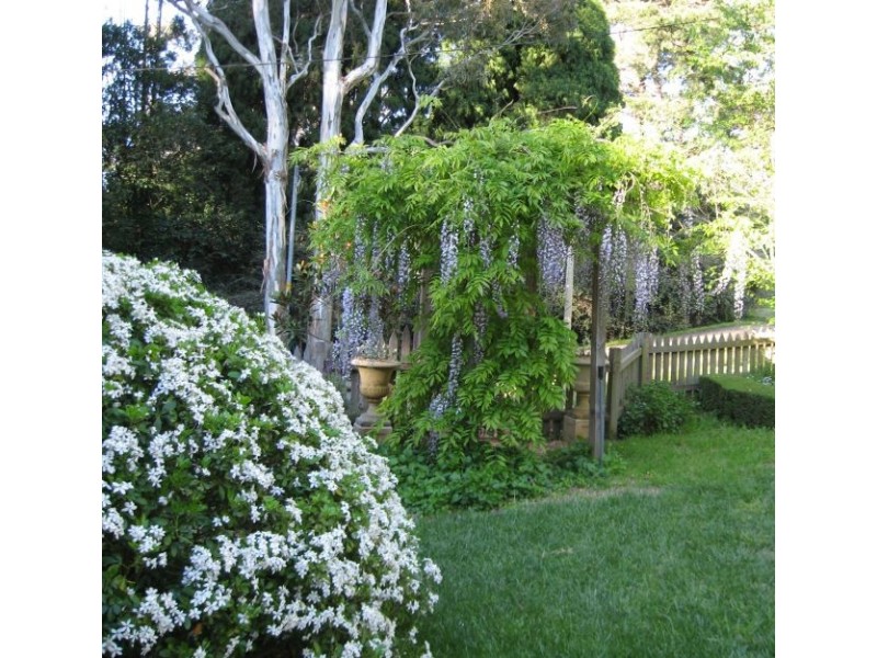 Moss Vale NSW 2577